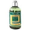 L'Occitane - Aromachologie Revitalizing Shower Gel - 250ml/8.4oz